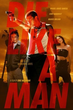 Die Like a Man (2025) Hindi (MULTI AUDIO) – –